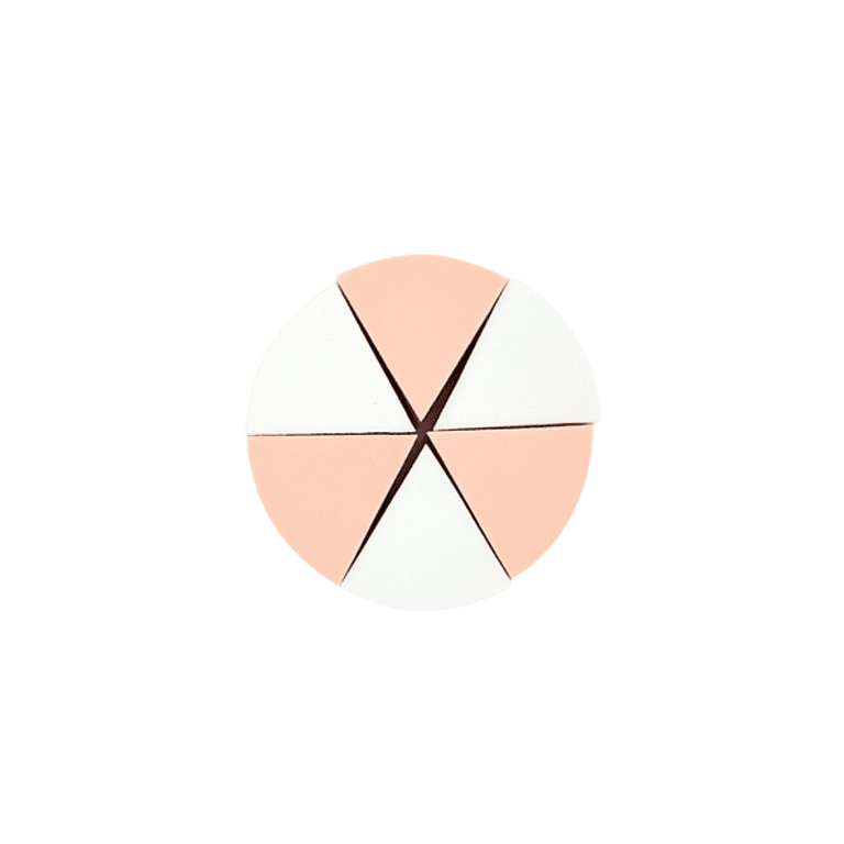 PROFESSIONAL BEAUTY SPONGE SET 6 PCS 588