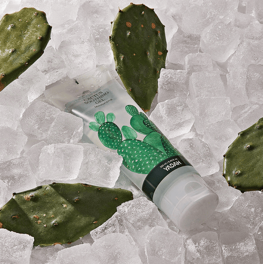 Krem kozmetik me pojës cactus në akull, logo Yaam, për mbrojtje dhe hidratim të lëkurës.